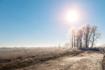 Early winter. The sun over Meadows, bushes and trees covered with frost. Fabulous Winter landscape