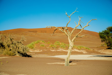 Sossusvlei, Namibia Africa