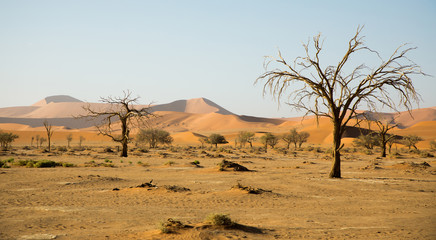 Fototapeta na wymiar Sossusvlei, Namibia Africa