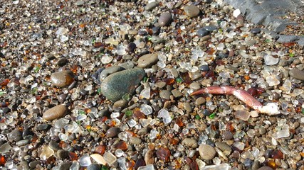 Glass Beach Rocks and Crabs