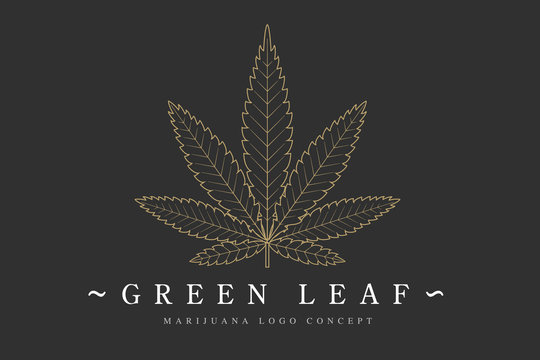 Cannabis marijuana hemp green leaf flat symbol or logo design. Cannabis green silhouette ecology logo. Hemp emblem for the logo design packaging of goods, food, for the creation of printed products.