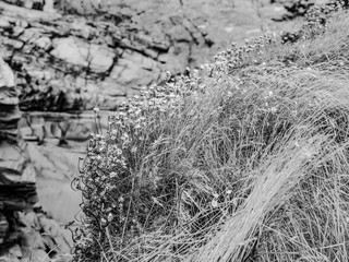 Bedruthan Steps - wonderful rocky coastline in Cornwall