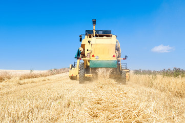 Fototapeta premium Harvester performing mowing tasks in the field.