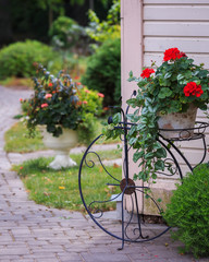 Fototapeta na wymiar paved walkway and garden elements in the countryside near the house; flower pot placed in metal-shaped flower holder