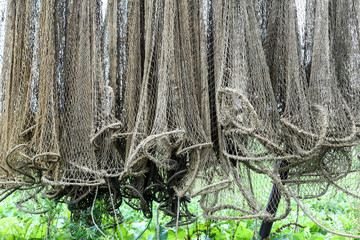 Fishing nets are drying in the sun in Dreverna - a city in Lithuanian seaside region near the...