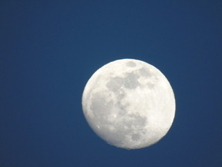 Liguria, Italy - 02/18/2019: An amazing photography of the full moonlight over the mountains, hidden and out of the trees in the village by day with beautiful blue sky in the background in winter days