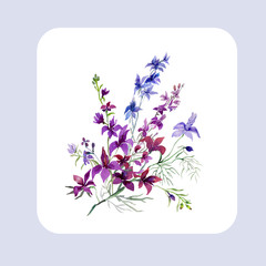  Pattern of wild flowers, watercolor  image  on white background.