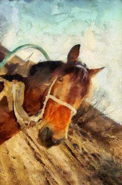 Horse in village. Animal artwork. Oil painting original wall art print in large size for interior design decor. Impressionism modern pictorial. Contemporary drawing on canvas.