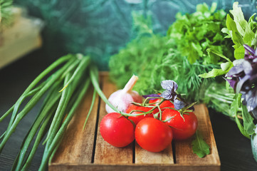 The natural texture of ripe juicy farm vegetables close-up and copy space. Tomatoes, greens, basil, onion, dill, parsley, garlic on a dark background, the concept of healthy food, toned photo