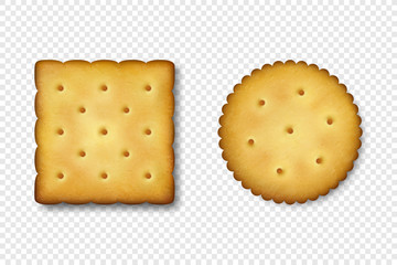 Realistic Vector 3d Round and Square Delicious Salty Cookies Rustic, Cracker, Biscuit Icon Set Closeup Isolated on White Background. Design Template of Sweet Cookie, Yummy Crackers, Breakfast Snack