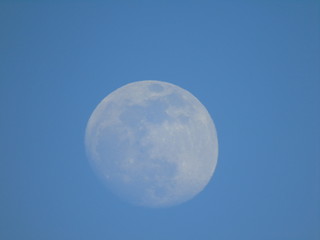 Liguria, Italy - 02/18/2019: An amazing photography of the full moonlight over the mountains, hidden and out of the trees in the village by day with beautiful blue sky in the background in winter days