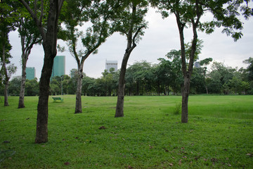 Landscape urban public park in overcast atmosphere