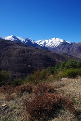 Canigou et montagne en neige avec campagne verte au printemps