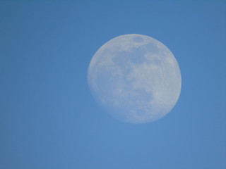 Liguria, Italy - 02/18/2019: An amazing photography of the full moonlight over the mountains, hidden and out of the trees in the village by day with beautiful blue sky in the background in winter days