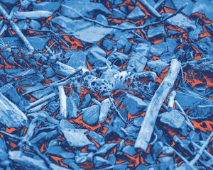 Close up of Pathway through the forrest in Maine with blue and orange filter