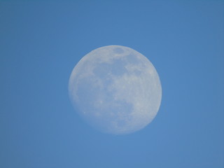 Liguria, Italy - 02/18/2019: An amazing photography of the full moonlight over the mountains, hidden and out of the trees in the village by day with beautiful blue sky in the background in winter days
