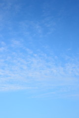 clear blue sky with fluffy white cloud in the morning