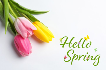 Beautiful flowers and text Hello Spring on white background, top view