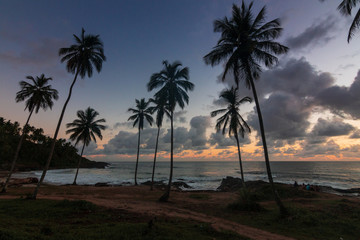 beautiful sunrise in itacaré, bahia brazil, with silhouettes of coconut trees and a sky with colorful clouds - 250476054