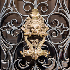 brass door handle on the door lion.
