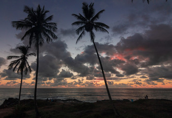 beautiful sunrise in itacaré, bahia brazil, with silhouettes of coconut trees and a sky with colorful clouds - 250476226