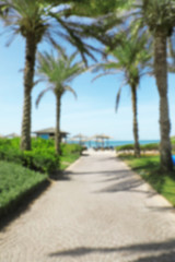 Fototapeta na wymiar Blurred view of palm alley leading to tropical beach