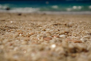 Fototapeta na wymiar shell beach in Costa Rica