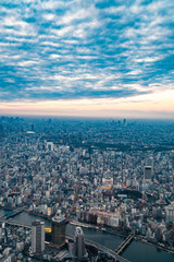 Fototapeta na wymiar View of downtown cityscape and sky tree in tokyo, Japan.