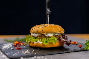 Burger on a dark background