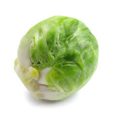 Fresh tasty Brussels sprout on white background