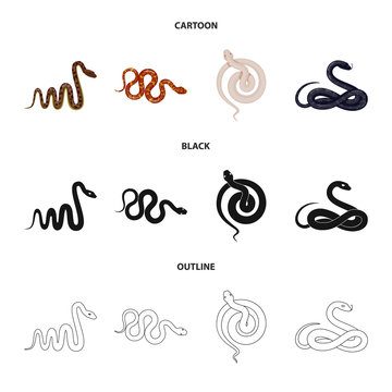 Isolated object of mammal and danger logo. Set of mammal and medicine stock symbol for web.