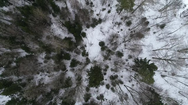 Winter landscape, aerial