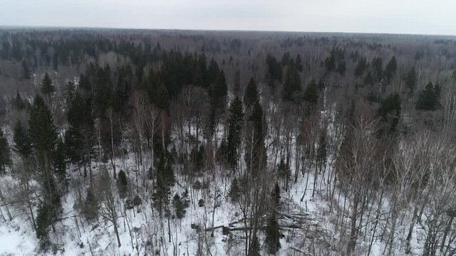 Winter landscape, aerial