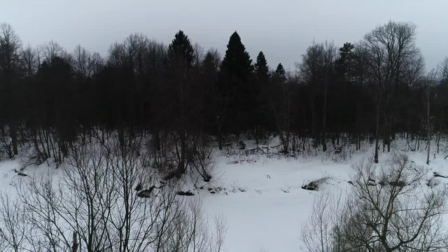 Winter landscape, aerial