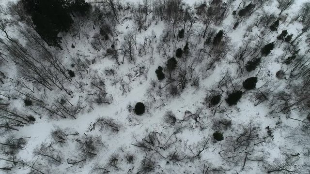 Winter landscape, aerial