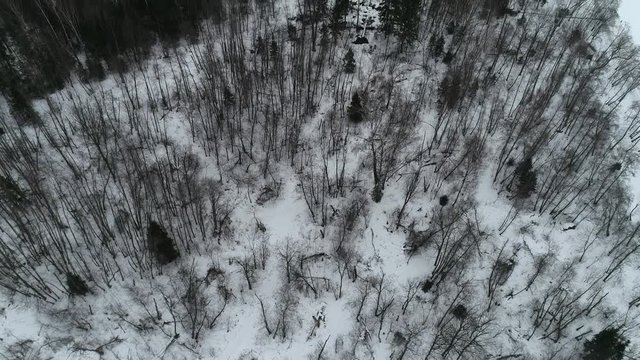 Winter landscape, aerial