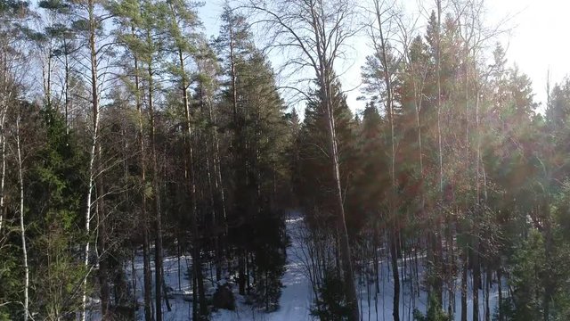 Beautiful winter landscape from the drone