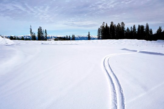 ski tracks in snow