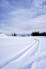 Fototapeta na wymiar winter landscape with ski tracks in snow