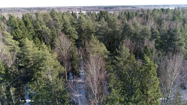 Beautiful winter landscape from the drone