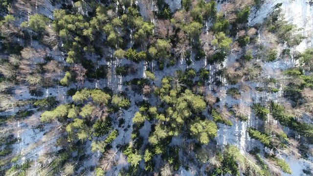 Beautiful winter landscape from the drone