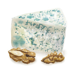 Watercolor blue cheese and walnut