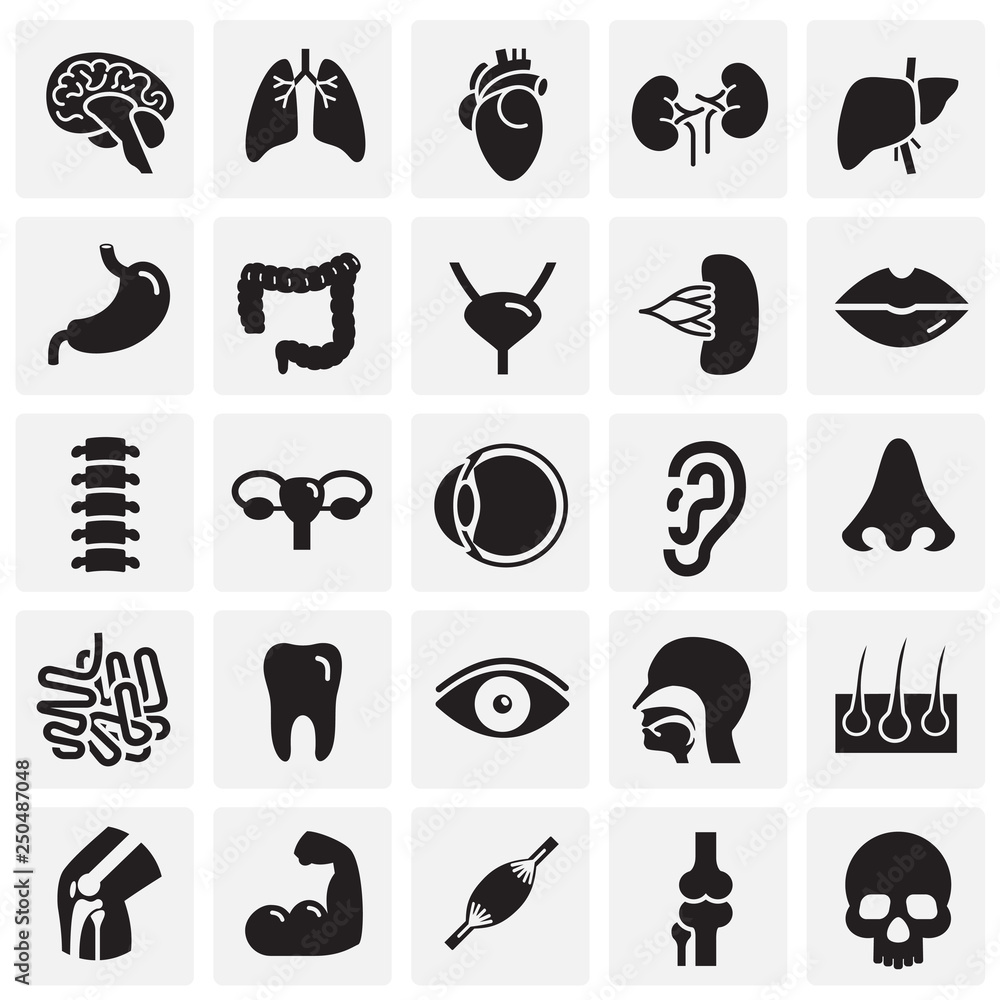 Poster human organs set on squares background for graphic and web design, modern simple vector sign. intern
