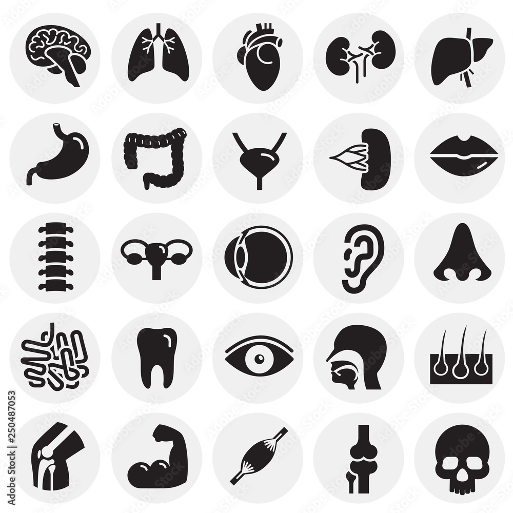 Poster human organs set on circles background for graphic and web design, modern simple vector sign. intern