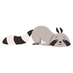 Cute Raccoon Lying on the Floor, Funny Humanized Grey Coon Animal Character Vector Illustration