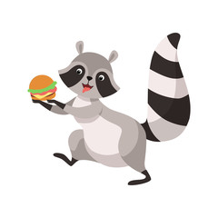 Cute Raccoon with Burger, Funny Humanized Grey Coon Animal Character Eating Hamburger Vector Illustration