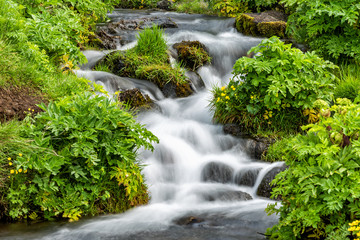 Fototapeta na wymiar Closeup of small waterfall cascade by Seljalandsfoss, Iceland with smooth long exposure blurry blurred water flowing in green mossy summer
