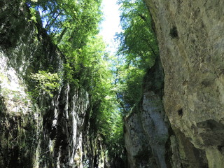 Gorge