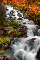 Fototapeta na wymiar waterfall, cascade, mountain waterfall, water, stream, moving, blurred water, movement, nature