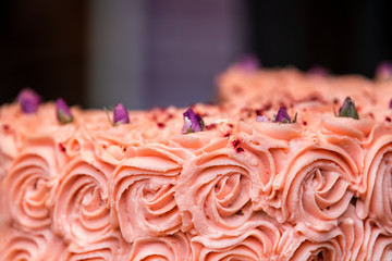 Macro closeup of pink red rose cake flower decorations of frosting in bakery store shop display, purple dry petals tasty delicious cream